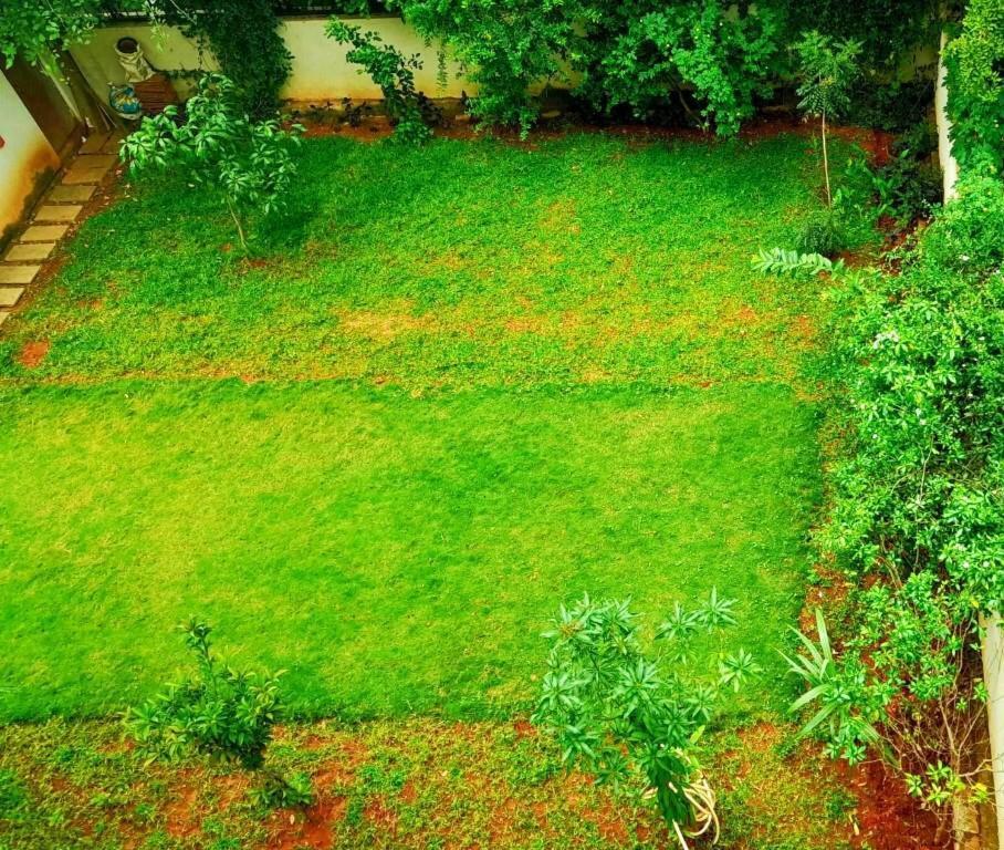 Tulip Villa Bengaluru Zewnętrze zdjęcie